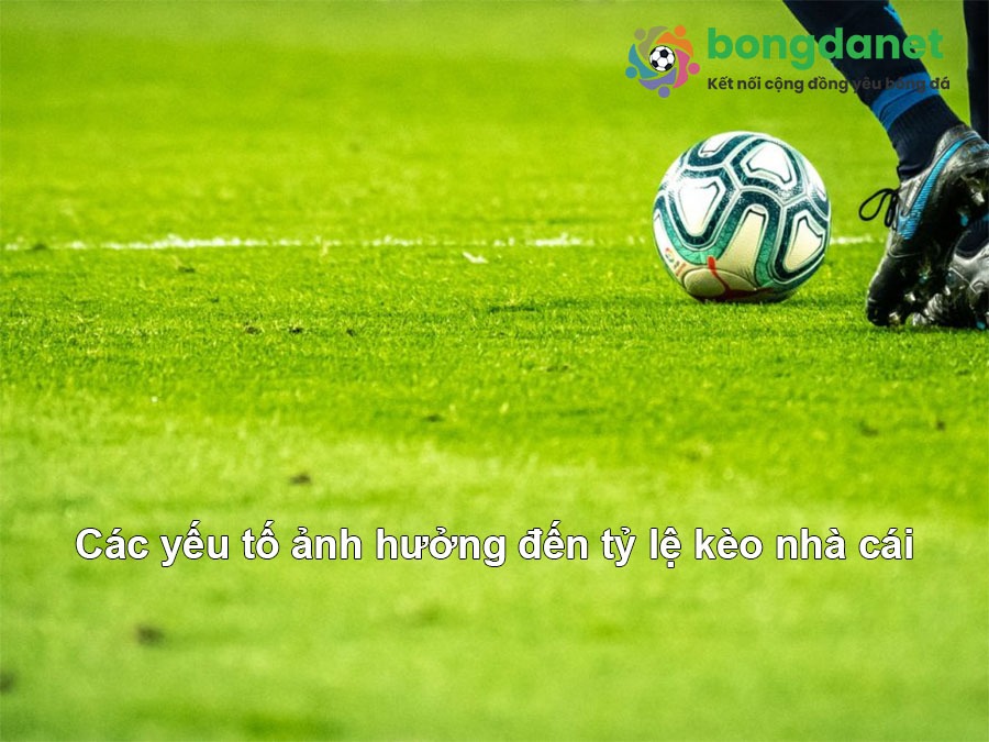 Lợi ích khi tham gia Kèo nhà cái 3